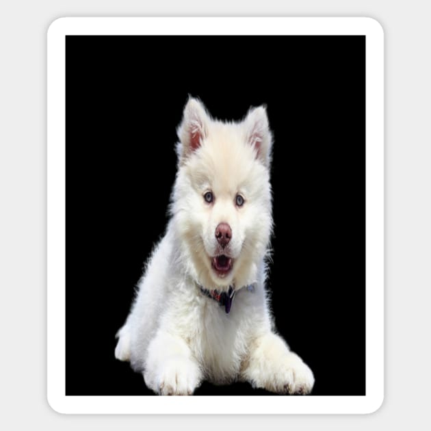 White dog Sticker by KA&KO